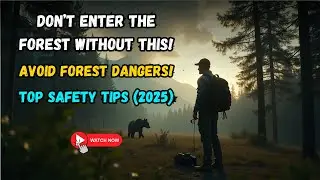 How to Be Safe in a Forest || 2025 Survival Guide for Beginners