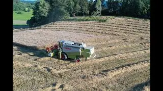 AgrarReiter Getreideernte 2020//Claas Lexion 450