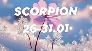 SCORPION🪷❤️UN NOU CAPITOL ÎNCEPE PENTRU TINE.UNIVERSUL ÎȚI ÎMPLINEȘTE O DORINȚĂ🎀-0757 183 446