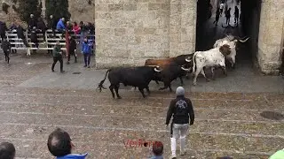 Ciudad Rodrigo  2025  Encierro del  martes   ,Carnaval del toro
