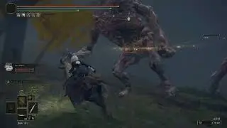 Elden Ring Mod - Melina and Sellen as Summon.