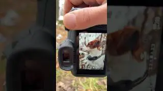 Canon r100 + canon rf 28mm f2.8 камера очень компактная и всегда с собой!