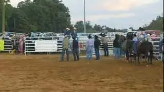HC3 RODEO ( Jr. SRA ) ~ Calf Roping Events @ Boone NC - Sept. 22 2012