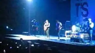 plain white t's at john labatt center
