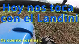 Hablemos de alguna cosa...