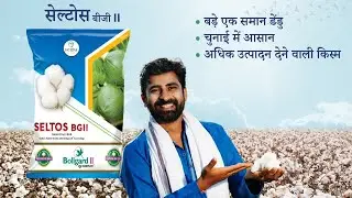 SELTOS BGII - कम लागत में ज्यादा मुनाफा,हर बार बेहतरीन उत्पादन की गारंटी क्योंकि बीज हो सही | PSPL