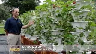 Vertical farm nets tall yields