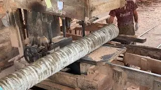 5x10 Coconut Tree Saw Using Sawmill Machine &ndash; Easy & Fast!