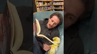 Escritores ✍️ VS 📚 Lectores #booktube #humor #libros #parati #reflexion #pov #reflexion
