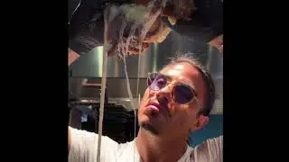 Best of Salt Bae  Compilation - 2020 Best