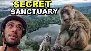 THE PHILIPPINES SACRED MONKEY FOREST SANCTUARY (Lake Sebu, South Cotabato)
