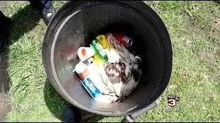 Several arrested for cockfighting in Abbeville