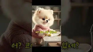 심쿵주의! 아기 포메라니안 일상 몰아보기  #귀여움 #강아지숏츠 #아기강아지 #포메라니안 #먹방 #ASMR  #AI동물쇼츠 #shorts #반려견 #강아지일상 #AI#심쿵주의