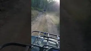 Riding through the mountains of Colorado