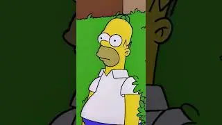 Homer Simpson Oh Ok Meme