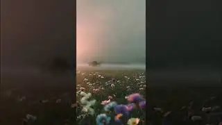 Best Way To Study Relaxing Piano Music Rain Sounds Deep Relaxation Instant Calm Mind