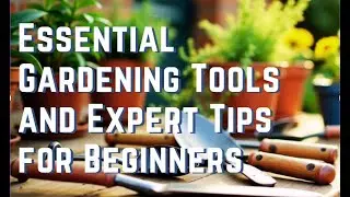Essential Gardening Tools and Expert Tips for Beginners