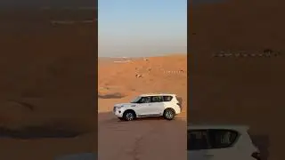 Desert Safari Dubai. #offroad #shorts #desert #youtube