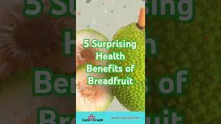 5 Surprising Health Benefits of Breadfruit You Need to Know! | #carecrash