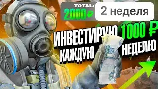 ИНВЕСТИРУЮ В СТИМ КАЖДУЮ НЕДЕЛЮ, ЧТОБЫ ДОЙТИ ДО МИЛЛИОНА! ИНВЕСТИЦИИ В CS2