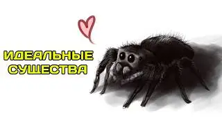 ПАУКИ - СОВЕРШЕННЫЕ СУЩЕСТВА