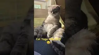 My cat has a song now 😸Created this using AI.Comment below if you want to know which AI app I used 👇