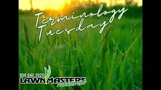Terminology Tuesday!