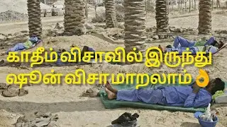 காதீம் விசாவில் இருந்துஷூன் விசா மாறலாம்|kadeem to shoon visa coming july 14/2024 #kuwait #visa