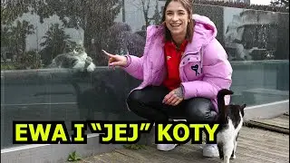 Swoboda W SIÓDMYM NIEBIE! Koci ŚWIAT w Stambule i pozytywne WSPOMNIENIA