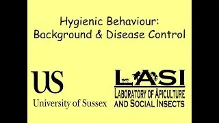 Hygienic Behavior: Background & Disease Control