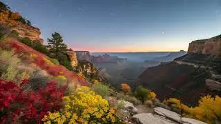 🌌 Grand Canyon Ambience &ndash; Crickets, Soft Wind & Starry Skies 🌌