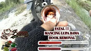 Boytep Yoyo Fish - Soft frog thailand andalan berburu kocolan gabus