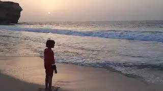 Turtle watch at Ras Al Jinz, Oman / Turtle Reserve,Sur, Oman/Turtle beach Oman/V#5