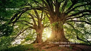 230. 27:5 Open rebuke is better than secret love.