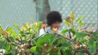 Waka Flocka Montage