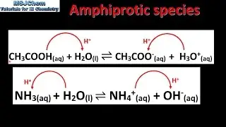 8.1 Amphiprotic species (SL)