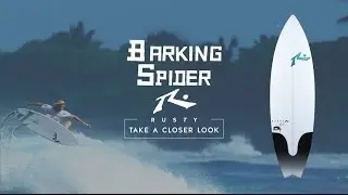 Rusty Barking Spider