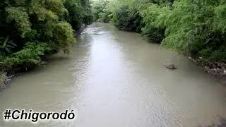 ¿Conoces Chigorodó? acá te mostramos un poco.