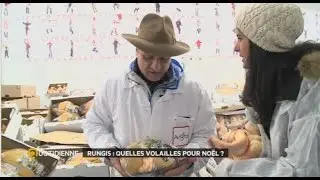 Rungis : quelles volailles pour Noël ?