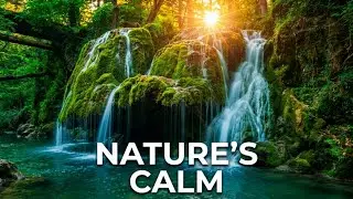 1 Hour Water Stream Sounds for Relax, Calm & Study @Pearlsayssleep