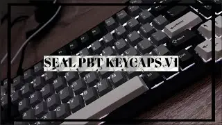 [ASMR] Changing the keycaps on my Keychron Q1 (Kinetic Labs Seal PBT Keycaps V1) 🦭