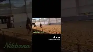Beim Natural Horsemanship Kurs gab es eine kleine Praxis Demo f&uuml;r die Teilnehmer.