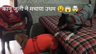 Kani jhuli ne milke machaya udham😱🤣😫 #familychannel #funnychildren #daillyvlog #viral 🔥🔥