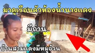 บ้านสาวเเดงเผ่าถ่านขายด้วยมีหมูนำ #บ่าวบ่างbangchannel 