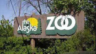 Visiting Animals in Alaska Zoo, Zoo in Anchorage, Alaska, United States
