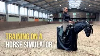 Joker Horse Simulator
