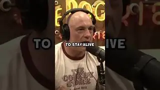 Joe Rogan Talks About Outdoor Boys #shorts