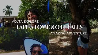 Monkeys Living with Humans: The Tafi-Atome monkey sanctuary Experience