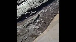 #stuck #mud #4x4 #offroad #adventure #automobile #fun #jeep #sxs #swamp  #outdoors #best #swamp #oof