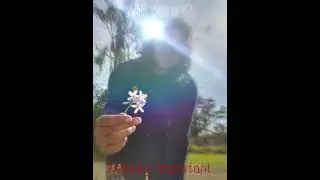 The Aesthetic of Agony prod. txby